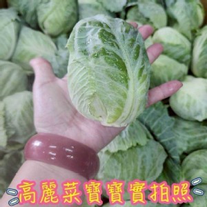 高麗菜寶寶每袋400～450g
