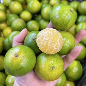 帝王柑🍊1200g±100g/袋