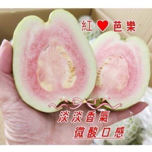 紅心芭樂一袋約1500g（+-10%）約4～6顆