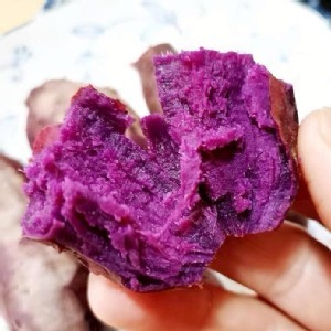 紫羅蘭地瓜每袋1kg(+-5%)