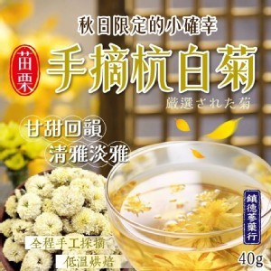 [台灣🇹🇼鎮德蔘藥行 苗栗手摘杭白菊/40g