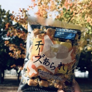 きらら 十勝卡門貝爾起司米菓