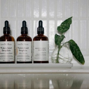 精油香氛 味點滴 100ml