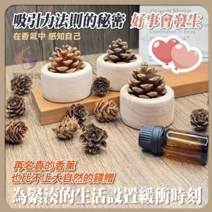 🏠質感松果擴香木❤️
