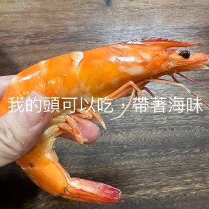 馬來西亞粗放白蝦 重量580-600g(包薄冰）