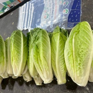 台灣鮮採羅曼心