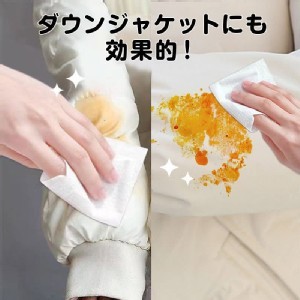 小林製藥攜帶式去除污漬 紙巾