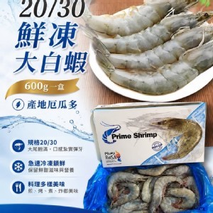 厄瓜多鮮凍大白蝦（20/30）