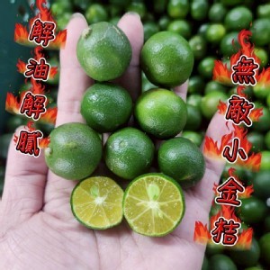 🫒九如新鮮金桔