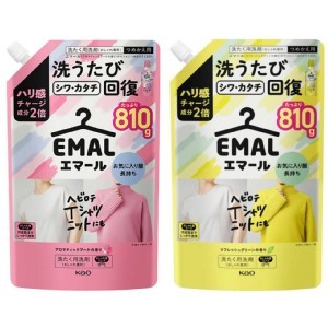 日本製造🇯🇵 KAO花王 防縮護色洗衣精系列2款/810g