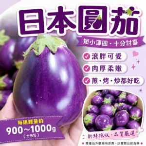 日本圓茄來啦！