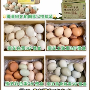烏骨雞蛋3斤/盒