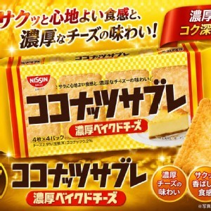 [日本🇯🇵日清 椰香濃厚烤起司風味酥餅/88g×2包]