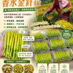 花蓮高海拔香水金針花