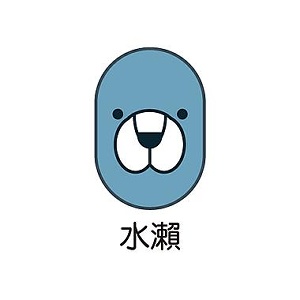 韓國Fixit多功能造型好神貼-水瀨