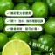 無籽香水檸檬每袋1公斤