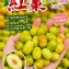 苗栗公館鮮採紅棗 每盒600g（±5%