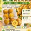 紐西蘭黃金奇異果～小資6顆裝
