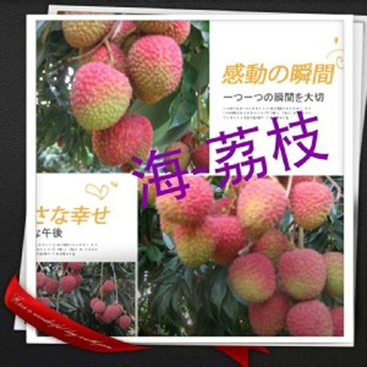 玉荷包450/盒/5斤