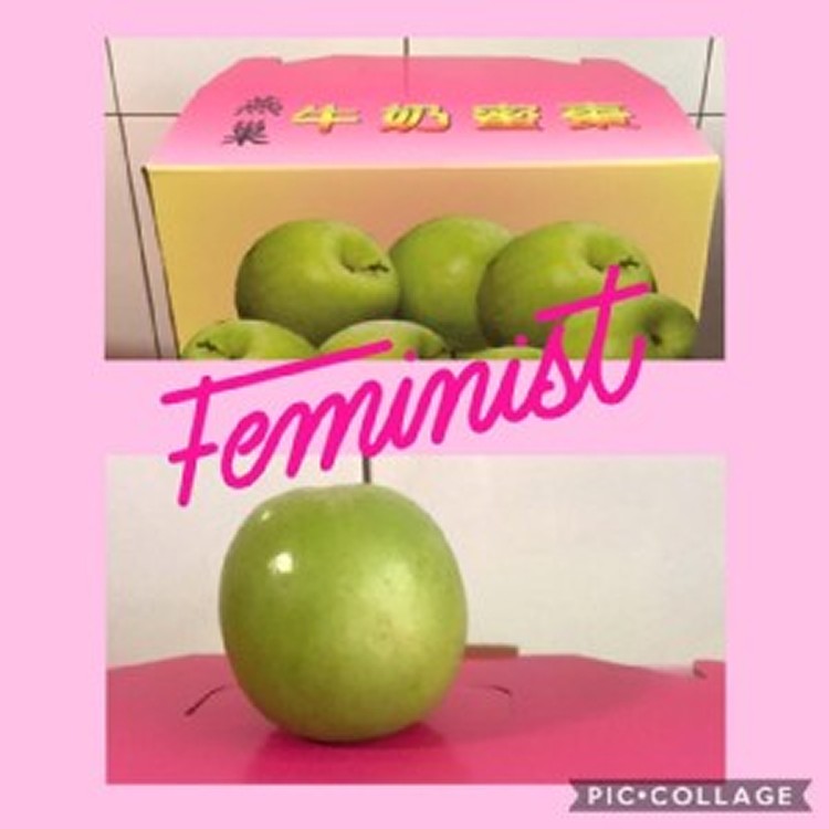 蜜棗 一箱5台斤