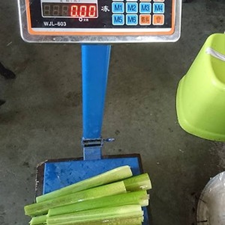 筊白筍一公斤 6倍數