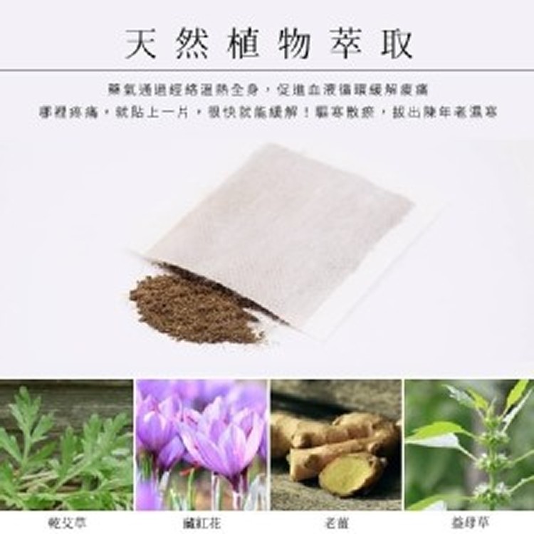 淨森堂 溫感艾灸貼/10片入 2盒一組