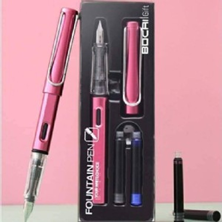 🏠端正練字鋼筆套組+贈100入筆墨