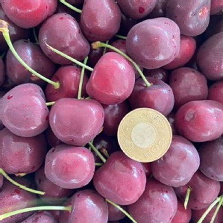 美國華盛頓黑櫻桃🍒9.5row 🏻1盒/斤