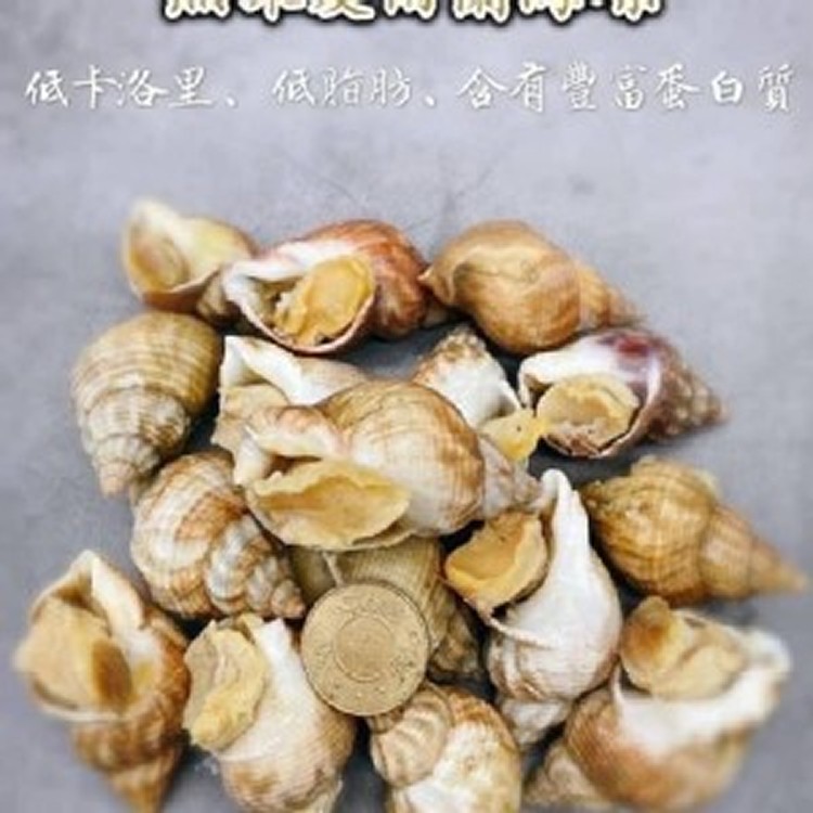 愛爾蘭野生熟凍海螺 彩袋夾鏈袋裝 500克/包 （約23-30顆）