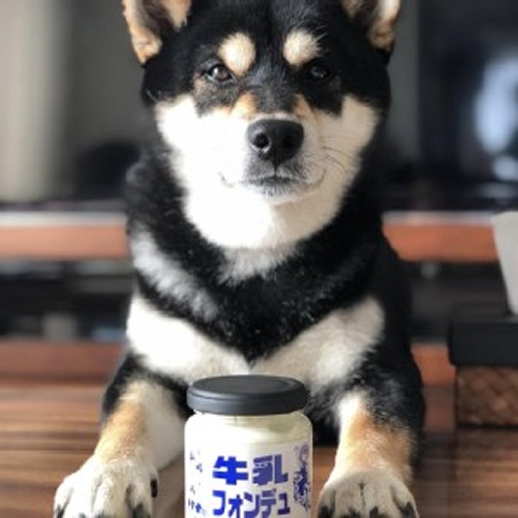 八岳山麓 牛奶抹醬