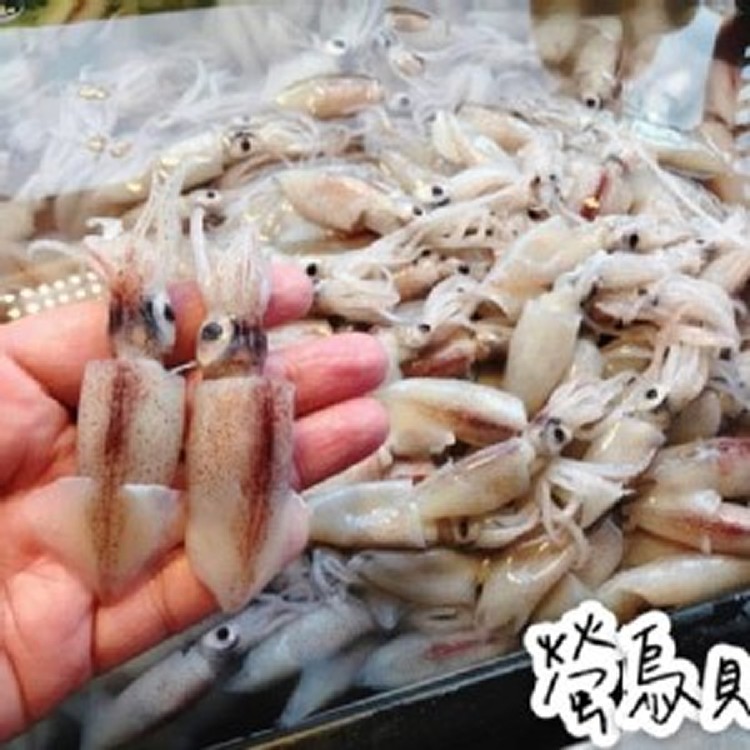 本港野生螢光烏賊 （真空盒裝） 重量：300克