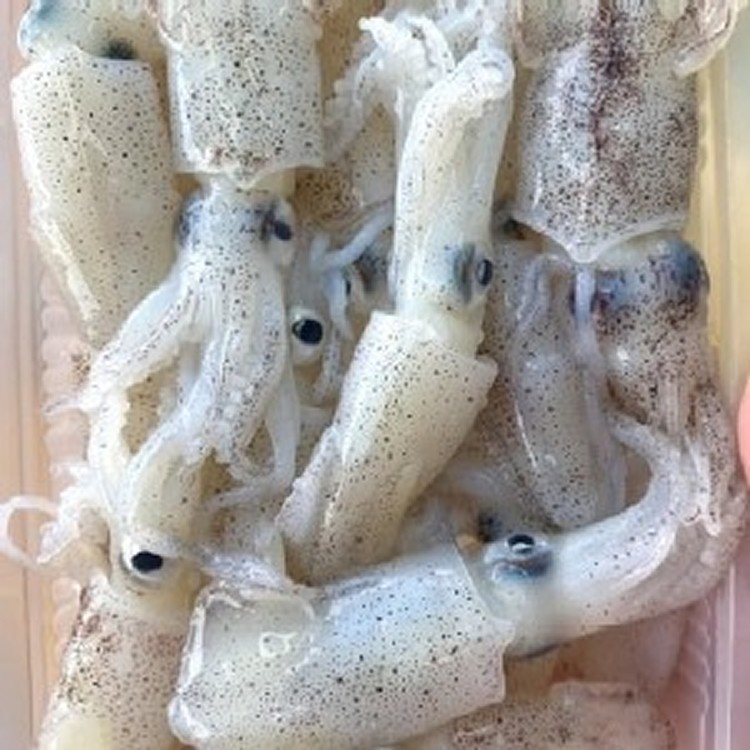 火槍魷脆卷250克