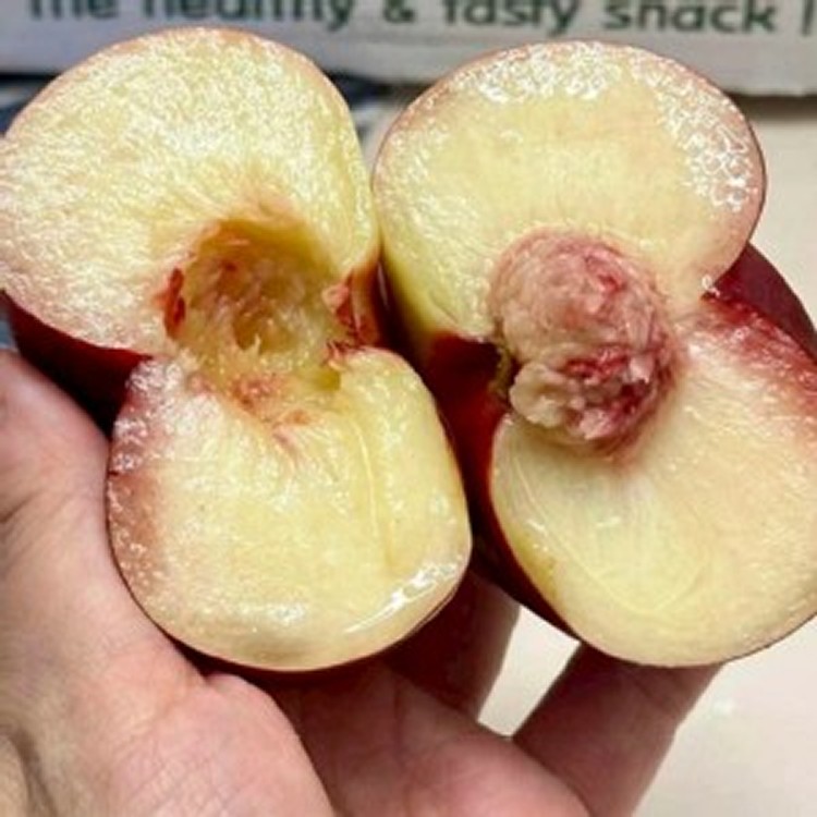 果園美味蟠桃🍑 7粒