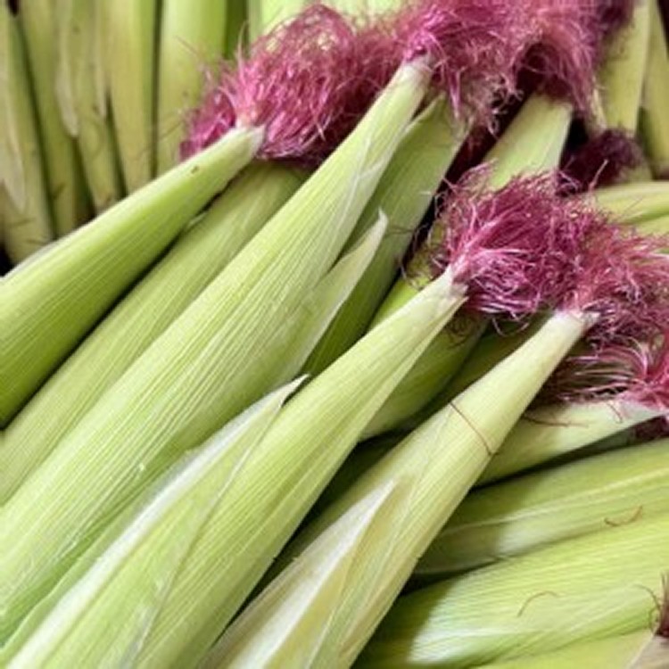 國產小農紅鬚玉米筍 3斤一包