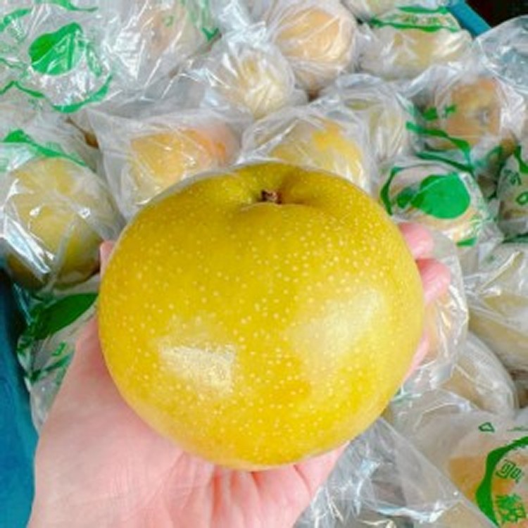 卓蘭新興水梨🍐（4顆一組）