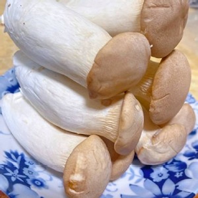 國產A級杏鮑菇－1公斤