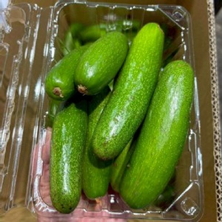 🥒酪梨寶寶（無籽）（拇指酪梨）550-600g