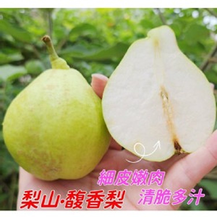 梨山馥香梨 每袋1.1～1.2kg（+-5%）