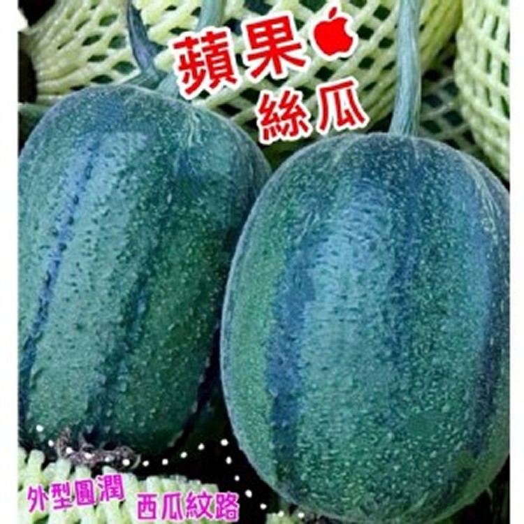 蘋果絲瓜（850～1000g／1～2條以重量為主）