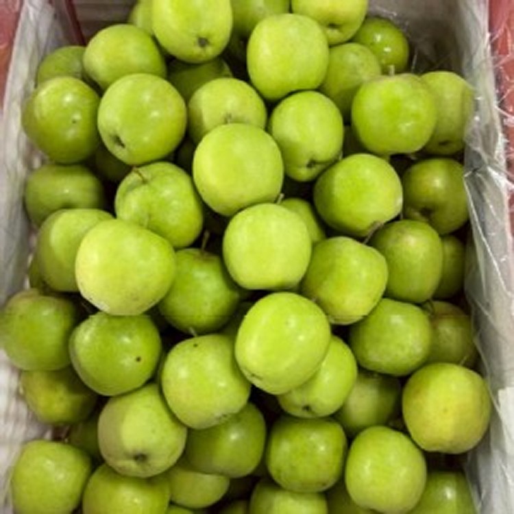 青龍蘋果🍏重量800～900g(+-10%)