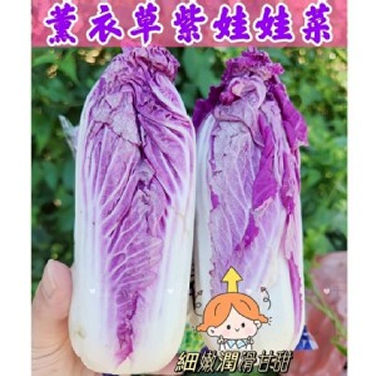 🥬進口薰衣草紫娃娃菜🥬一包約500g（+-50g）