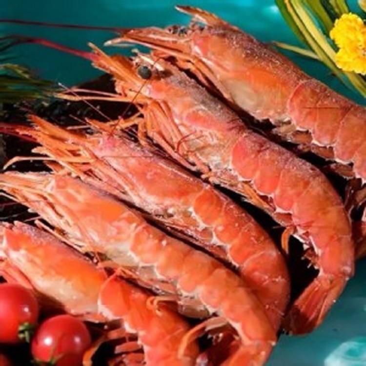 阿根廷生食級天使紅蝦 ：300克/包 （5-6尾/包）