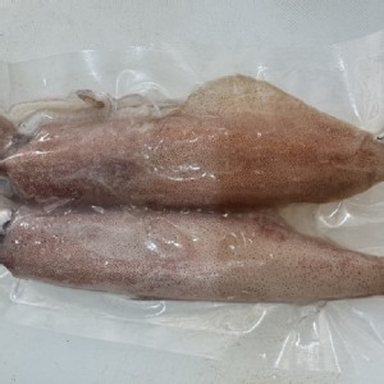 活凍新鮮小卷🦑