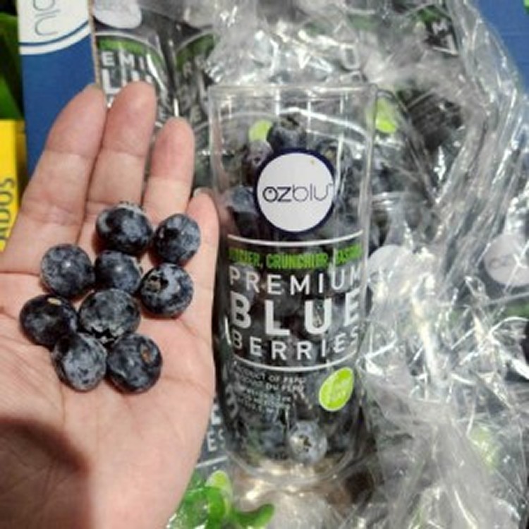 🫐頂級秘魯管狀藍莓JUmbo