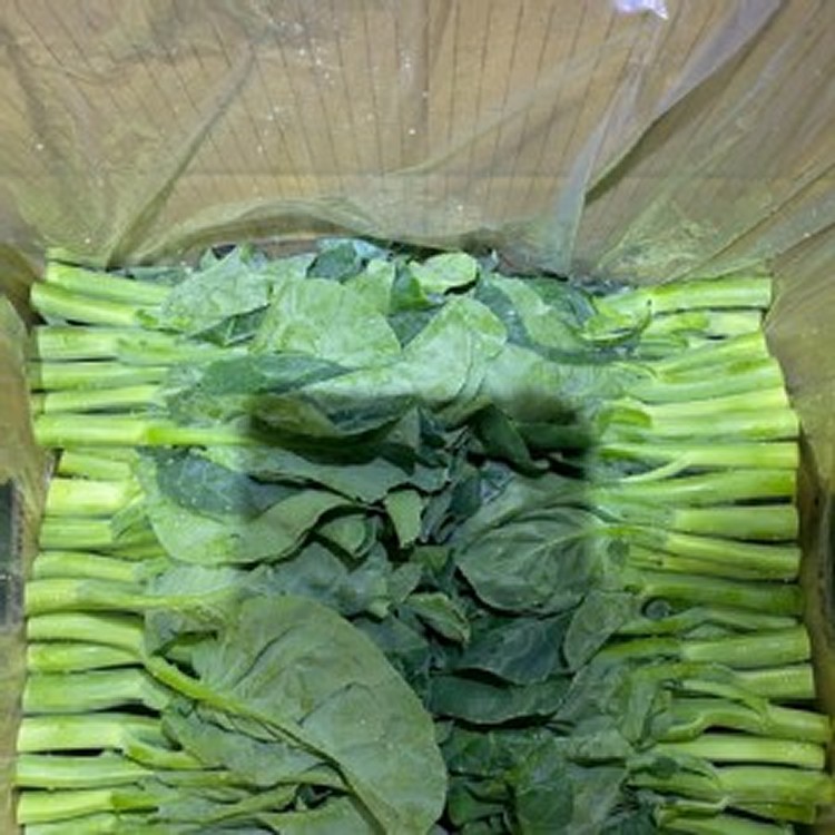 芥蘭芽 1包300克