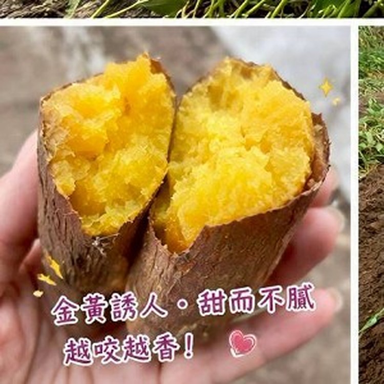 蘋果地瓜