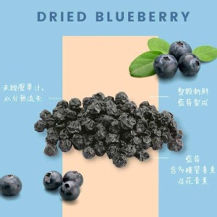 美國🇺🇸歐納丘 O’natural 天然藍莓乾/60g]