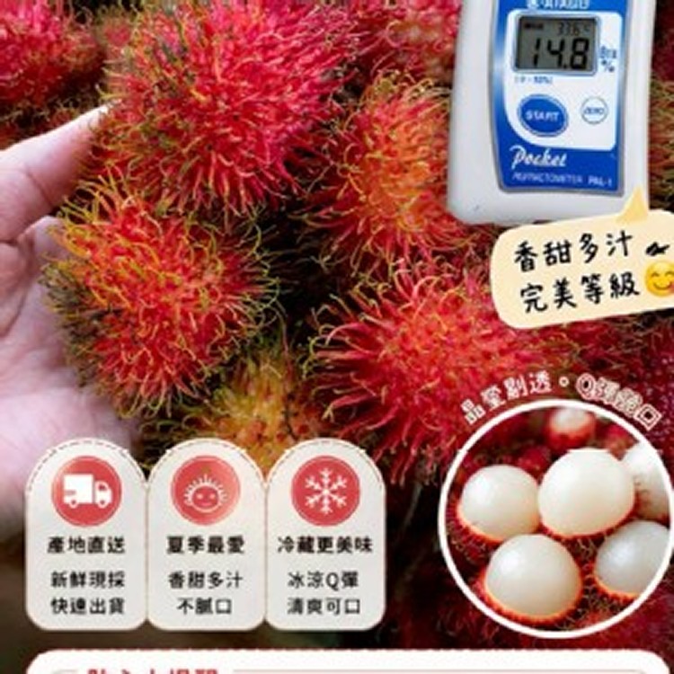 鮮採 紅 毛 丹