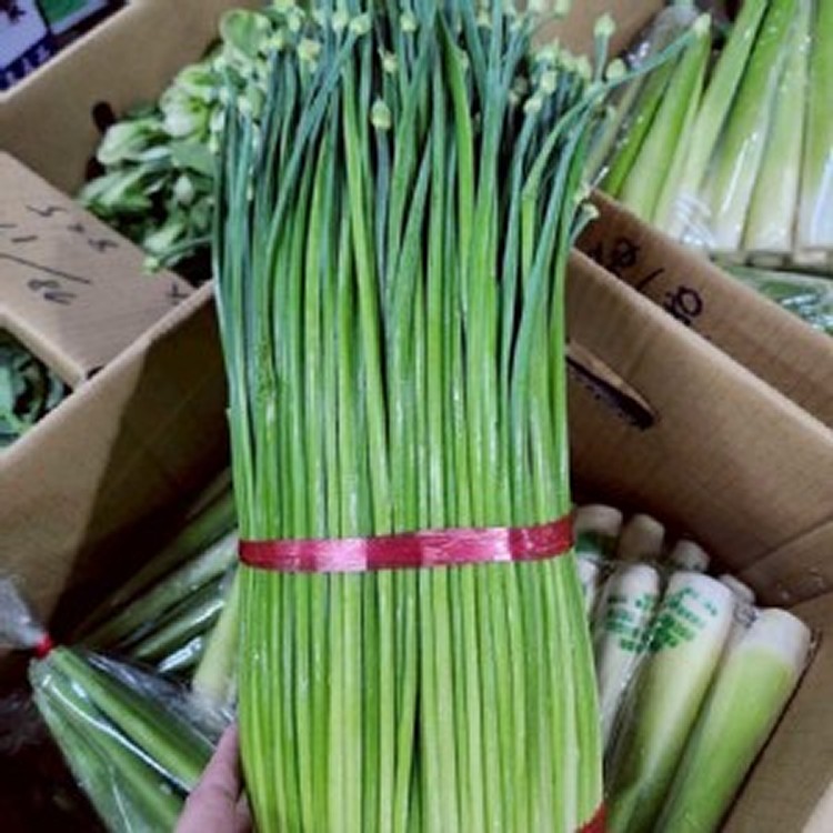新鮮清脆韭菜花