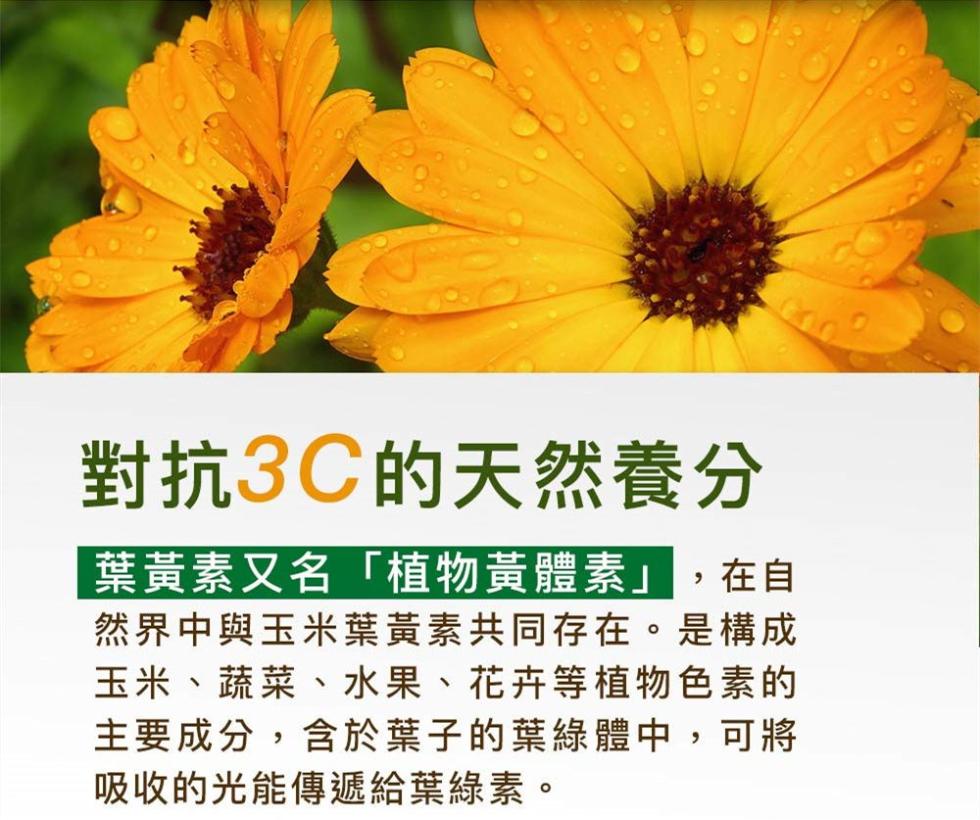 【久保雅司】EZLook 多國專利葉黃素60粒x5瓶